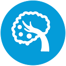 conexo_benefits_growth